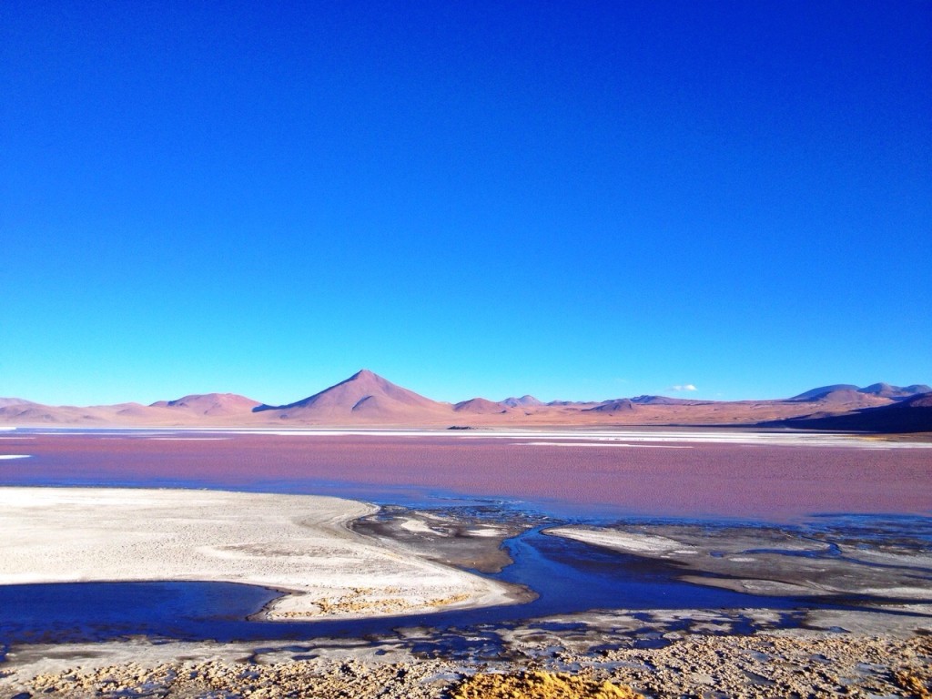 Laguna Colorada-Salar del Uyuni- Bolivia