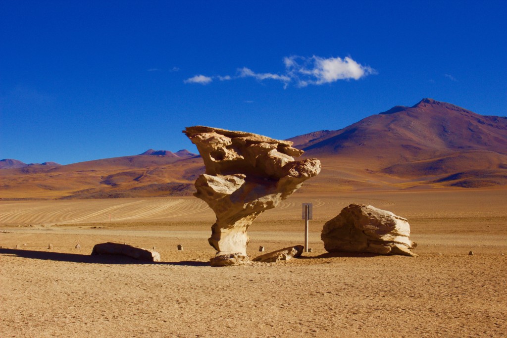 Salar del Uyuni-Tree Rock-Bolivia