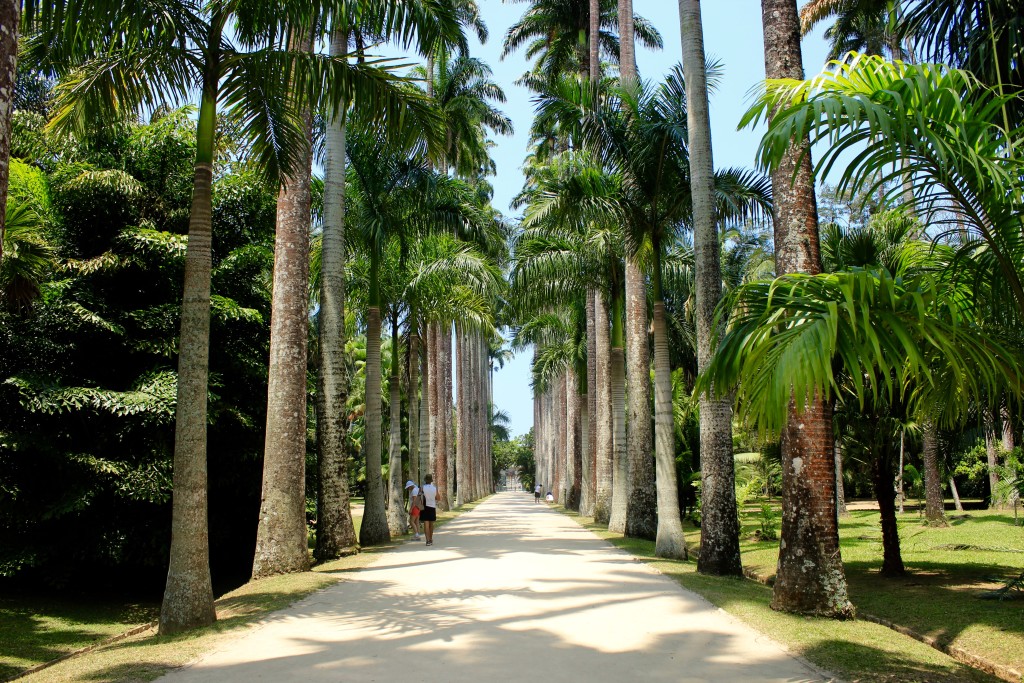 Jardim Botanîco- Rio de Janeiro- Brazil